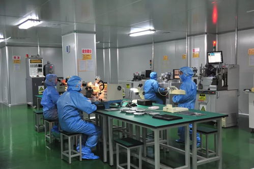 科技賦能，精準(zhǔn)服務(wù)——延平區(qū)以技術(shù)創(chuàng)新驅(qū)動(dòng)企業(yè)高質(zhì)量發(fā)展